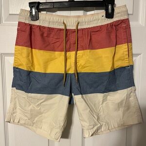 Valor Colorful Striped Men's Swim Shorts